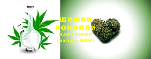 гашик Заводоуковск