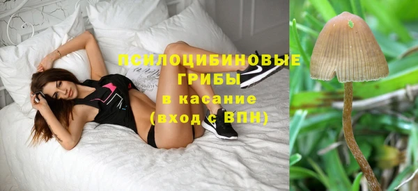 jwh Зерноград